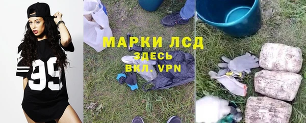 apvp Вязники